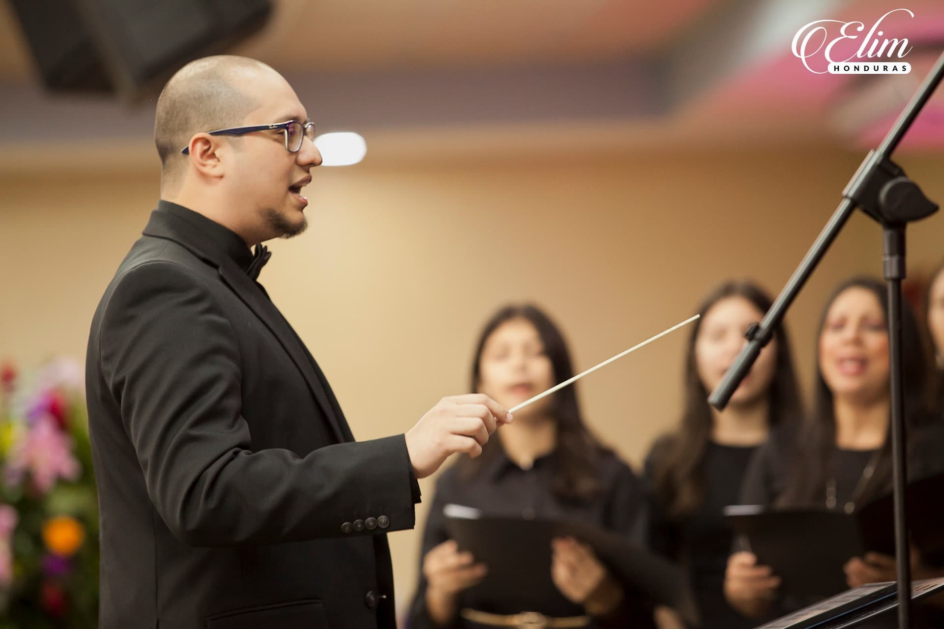 Sección de Teclados